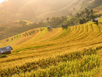 Tour du lịch Sapa 3 ngày 2 đêm